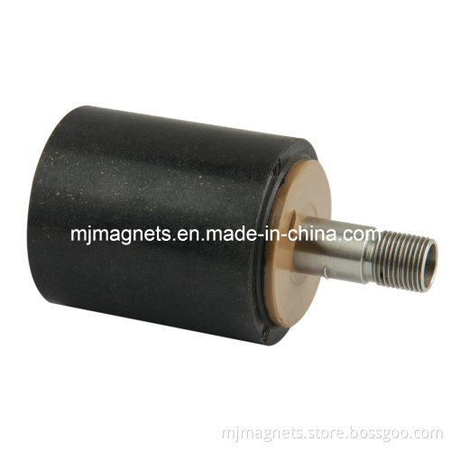 Injection Molded Permanent Magnet with NdFeB+PPS